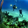 Buceo