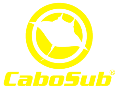 CABOSUB.CL